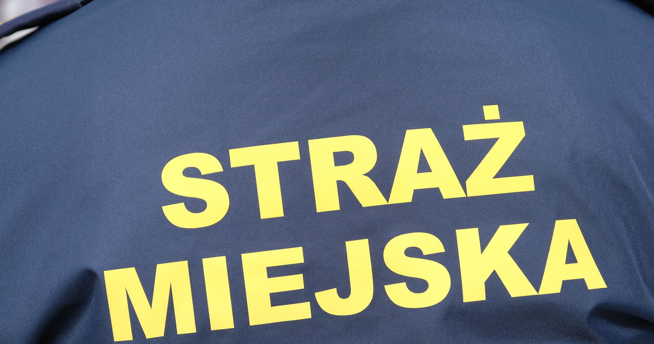 Ostrzeżenia nie pomogły. Straż Miejska odholowuje samochody na Bagrach