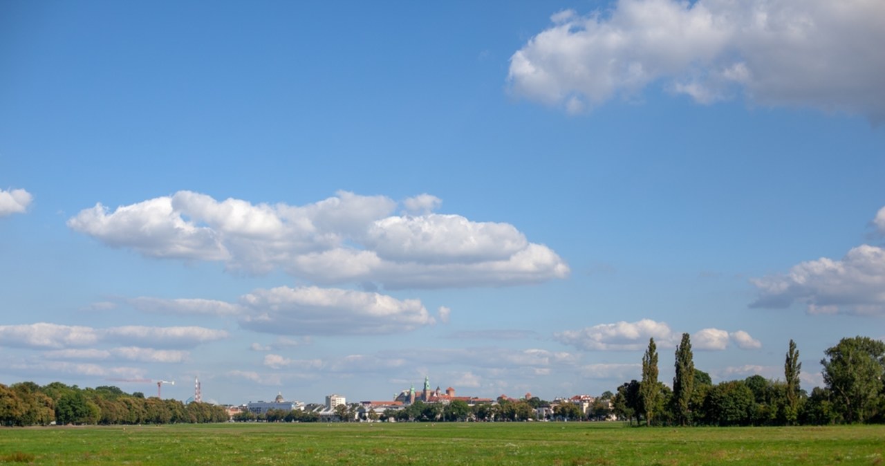 Już niedługo wielkie sianokosy na Błoniach