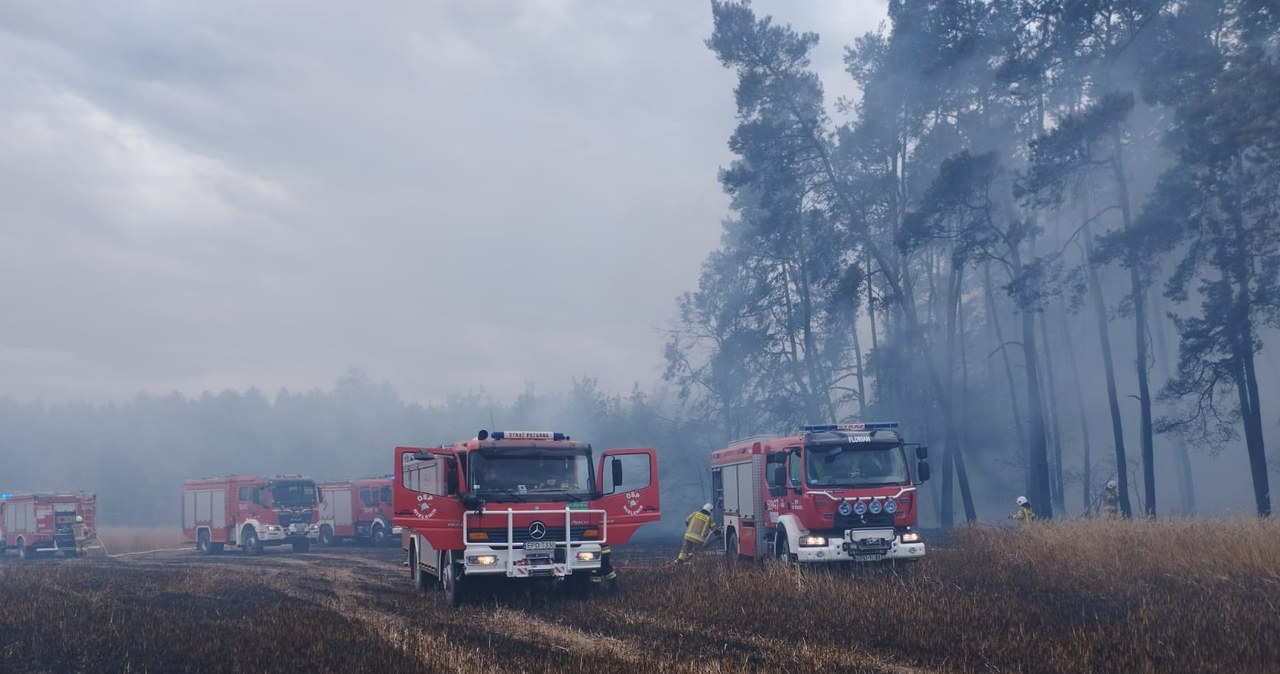 Ogromny pożar w łódzkim. 12 hektarów w ogniu