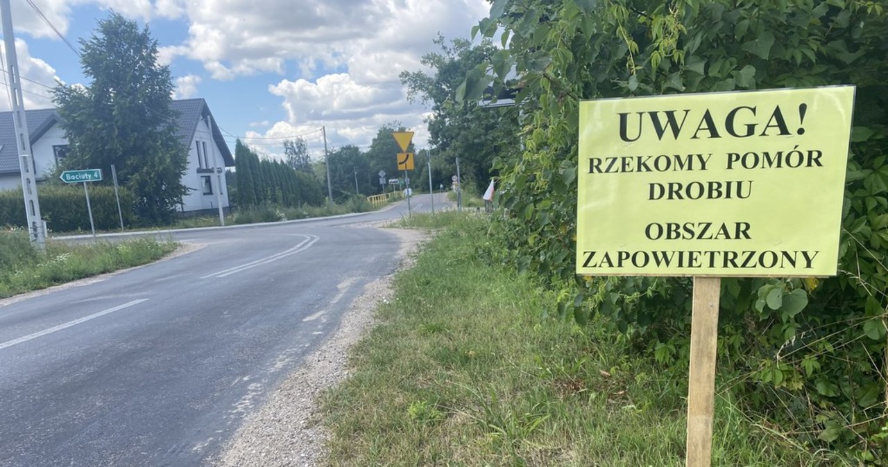 Potwierdzono kolejne ognisko rzekomego pomoru drobiu