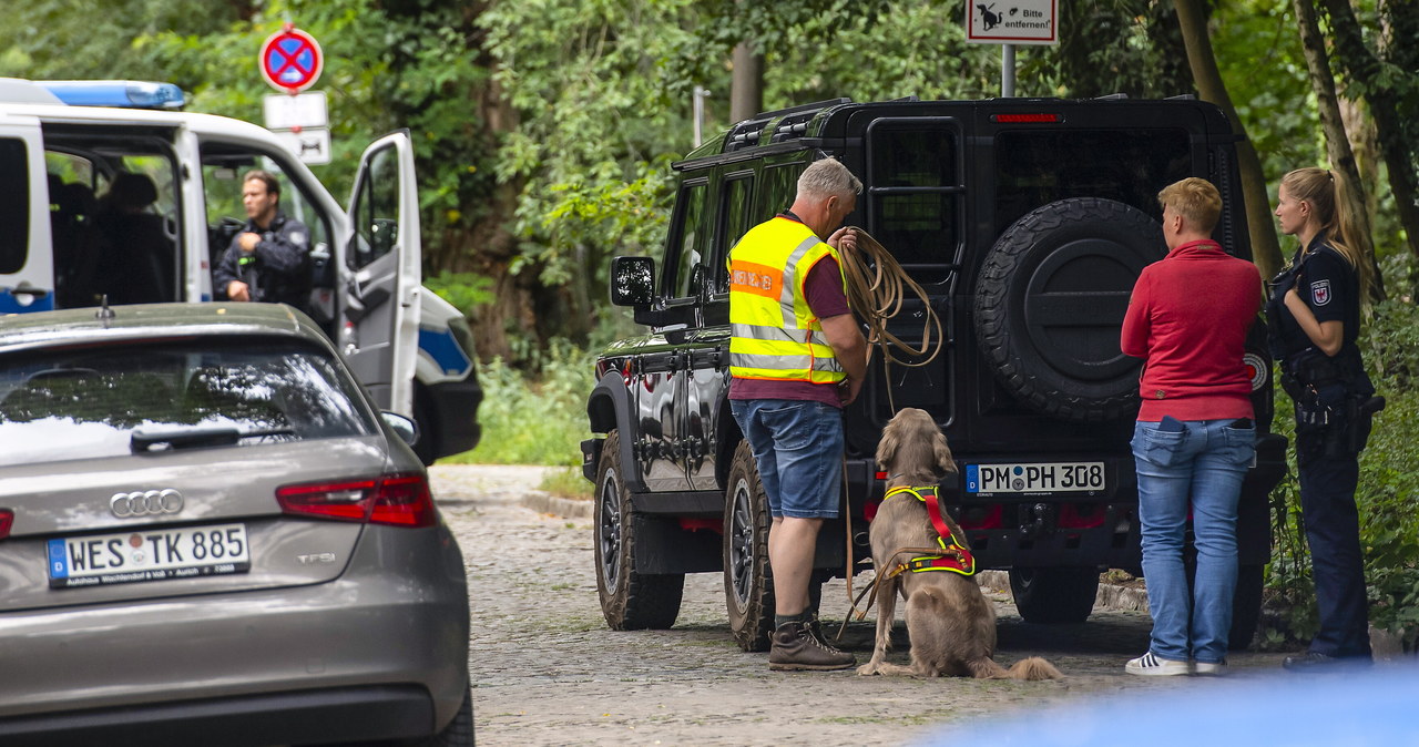 Niemcy: Setki policjantów zaangażowane w poszukiwania lwicy