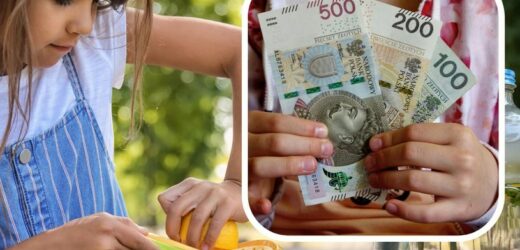 Czy dzieci mogą sprzedawać lemoniadę latem? Oto, co mówi prawo