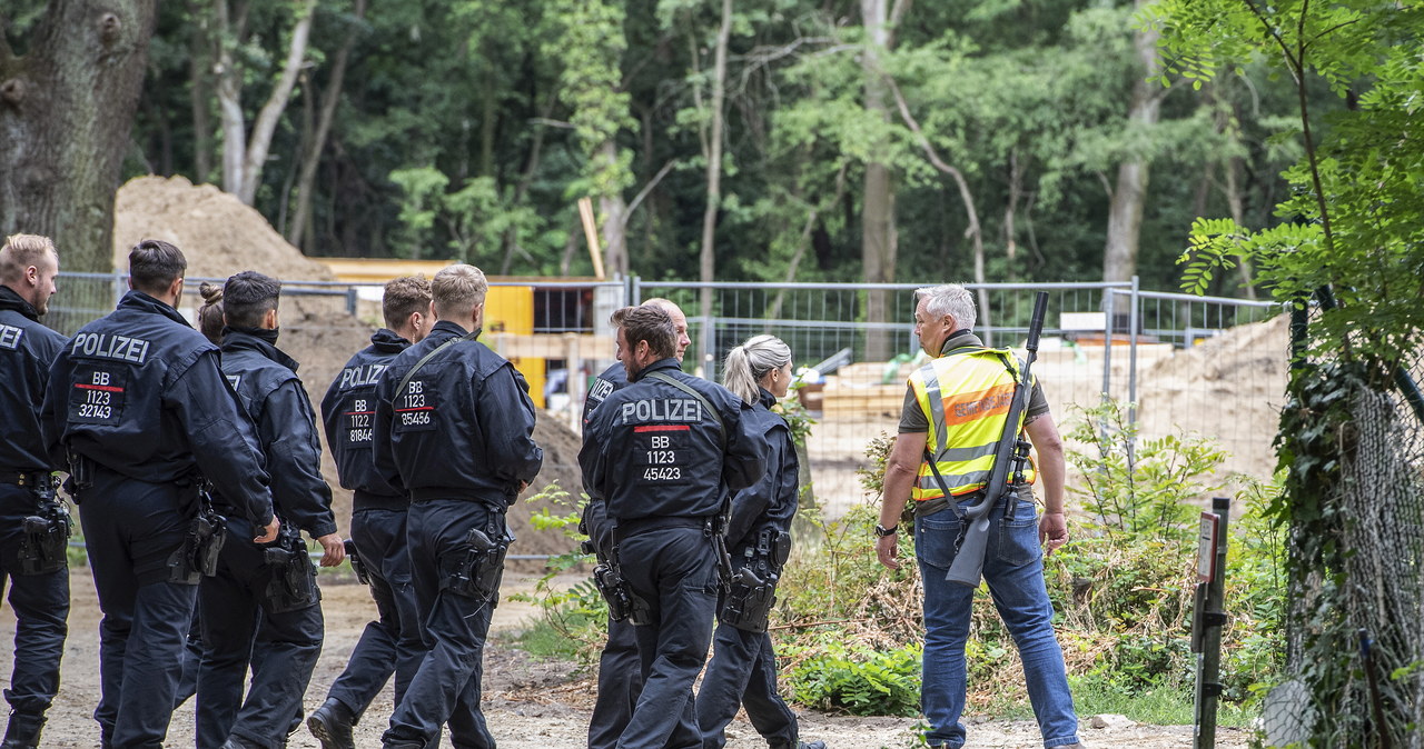„Najdroższe safari”. Rzekoma lwica z Berlina to dzik?