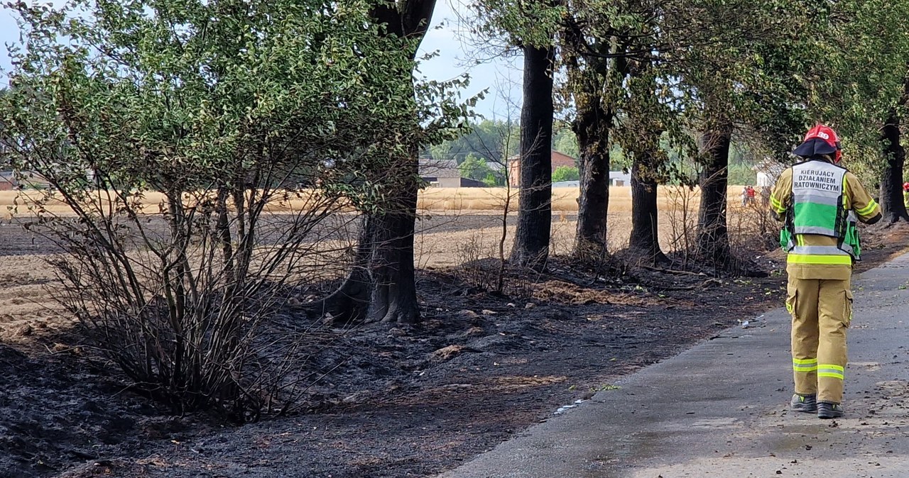 Pożary pól w Wielkopolsce. Straż pożarna podaje dane