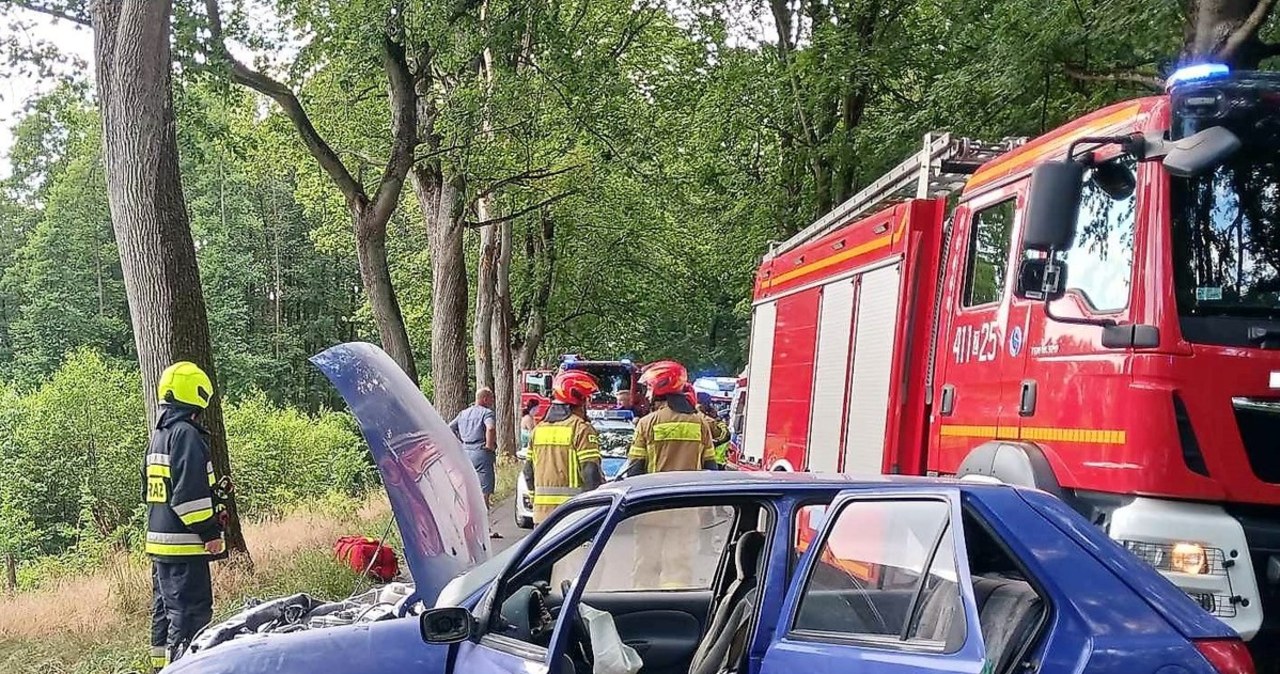 Kot wskoczył mu na pierś. Samochód wylądował na drzewie
