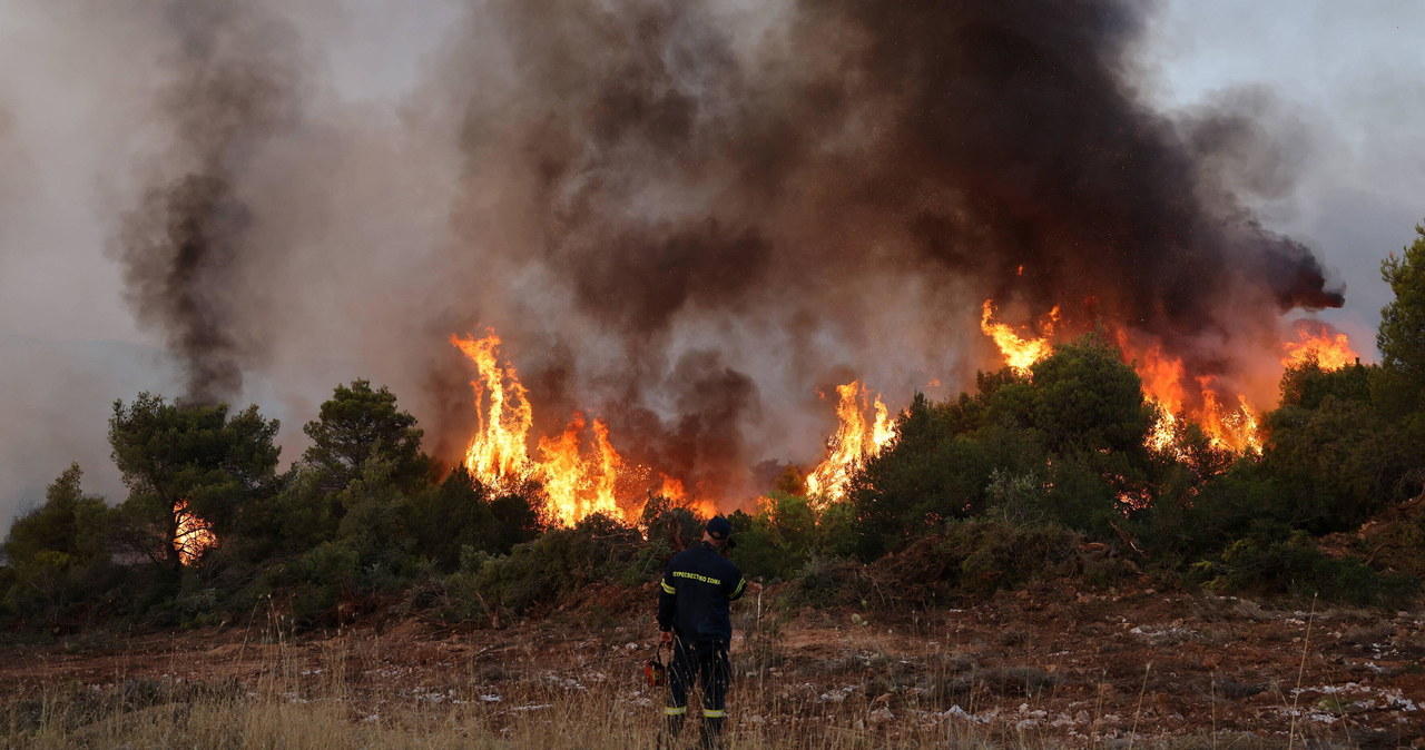 Polscy strażacy walczą z żywiołem w Grecji. „Najgorszy jest upał”