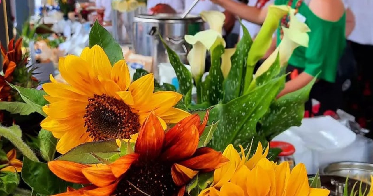 Wypadek na festiwalu gastronomicznym. 6 osób poparzonych