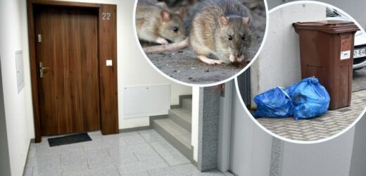 Ogłoszenie z klatki schodowej hitem internetu. „Resztki jedzenia to afrodyzjak”