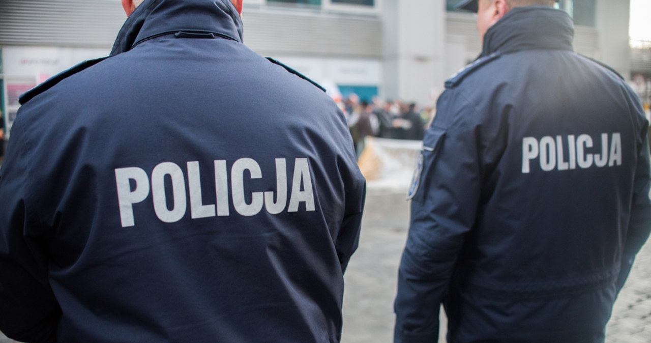 Świński ryj w paczce do starostwa. Policja bada sprawę