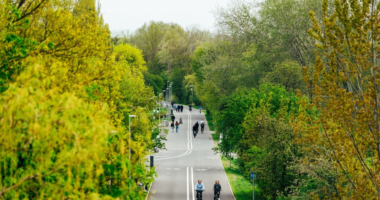 Więcej tras rowerowych w Poznaniu. Miasto przyjęło plany