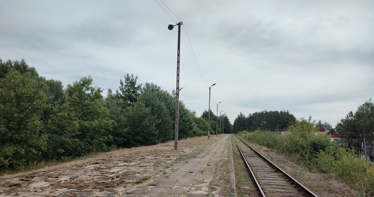 Kolej pasażerska wróci do Bełchatowa