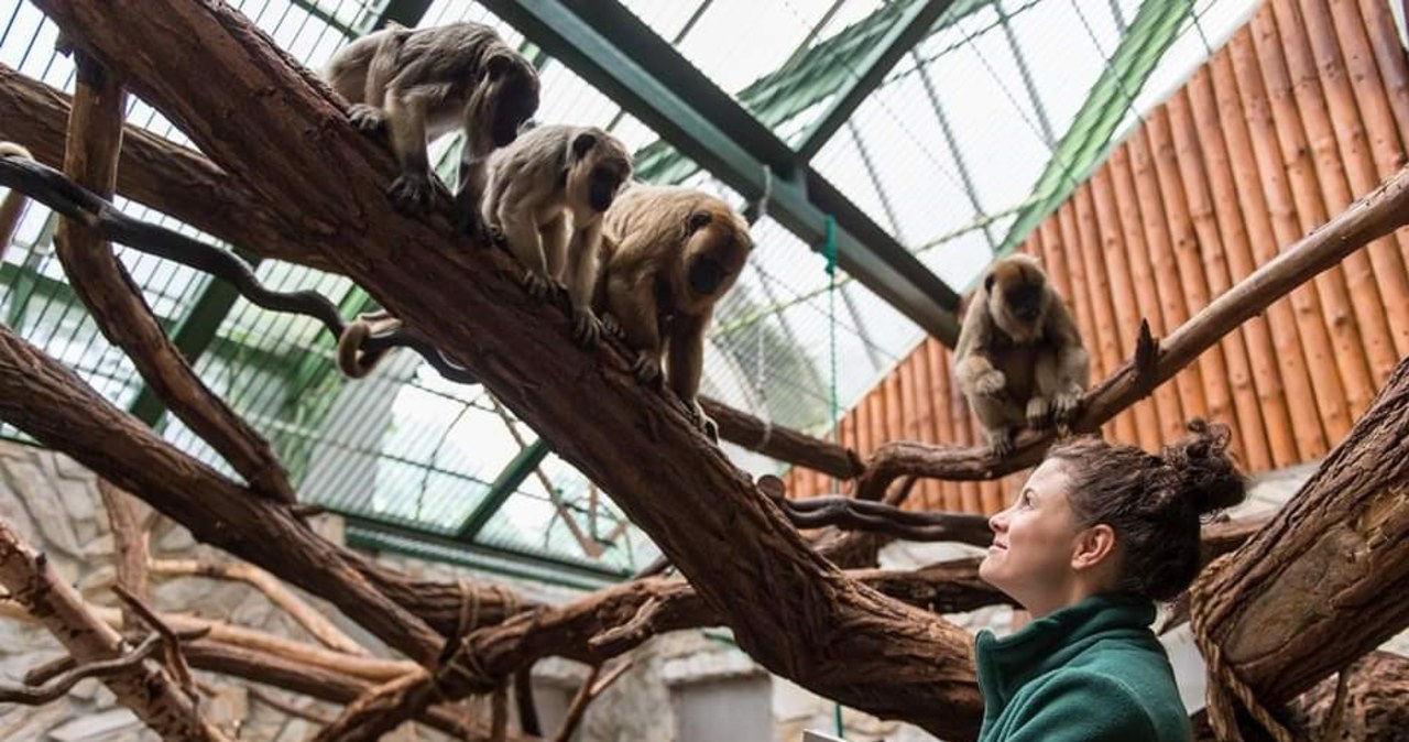 Nowa dyrektor wrocławskiego zoo. Konkurs rozstrzygnięty