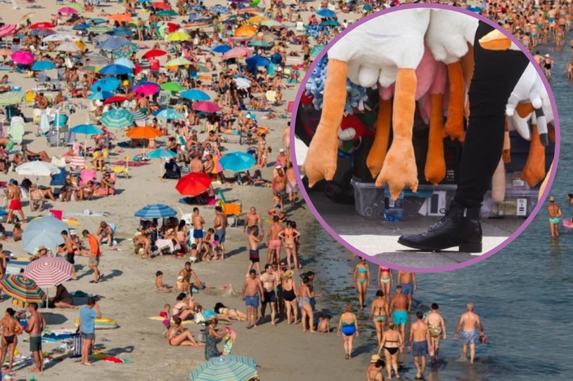 Kojarzycie kultową gęś Pipę? Zabawka ma poważną konkurentkę