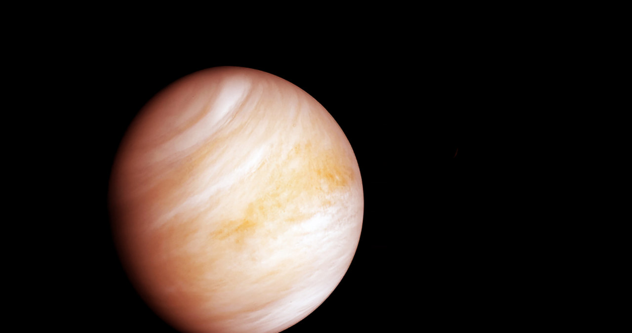Współzałożyciel OceanGate chce wysłać ludzi na Wenus