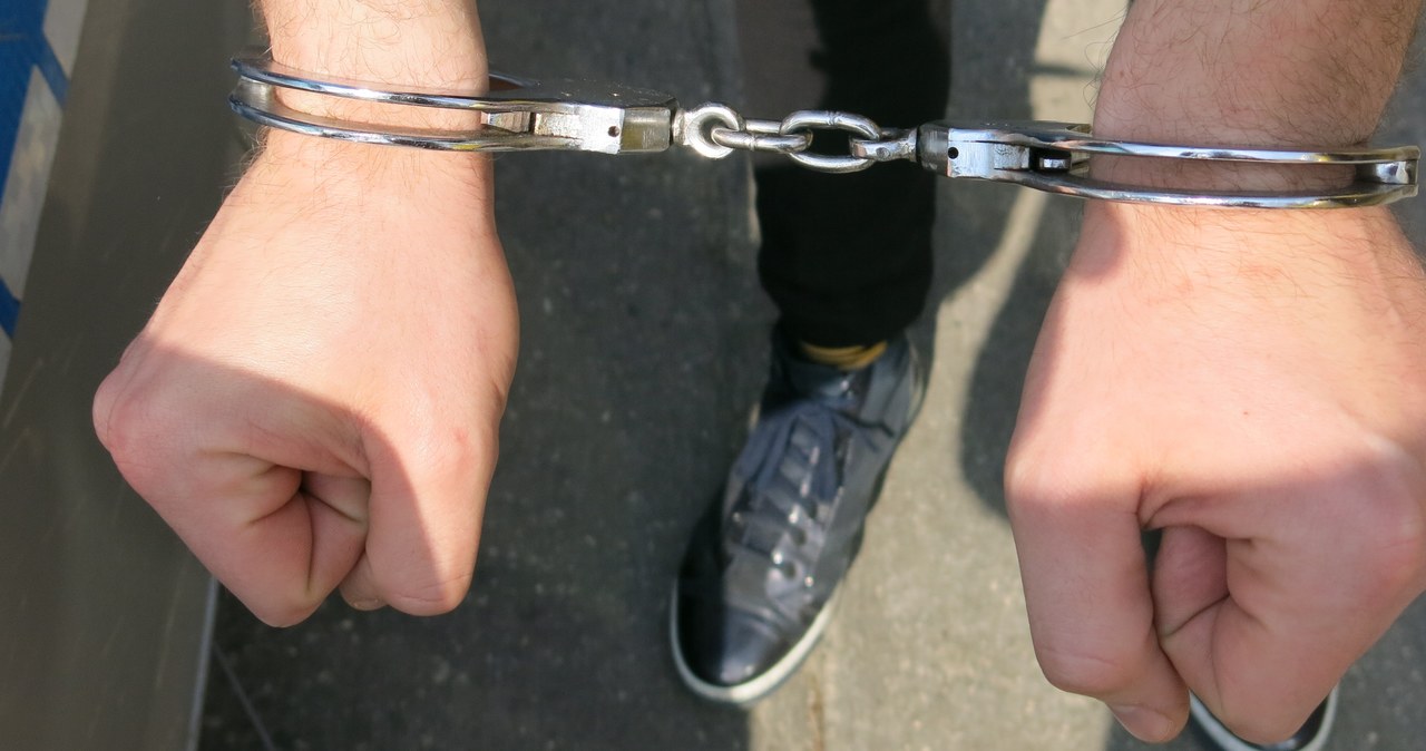 Policja rozbiła grupę przestępczą kradnącą samochody w Niemczech