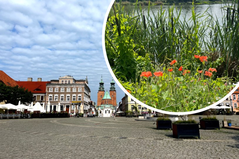Polska na własne oczy: Gniezno to nie tylko katedra. Odkrywamy miasto królów i królików