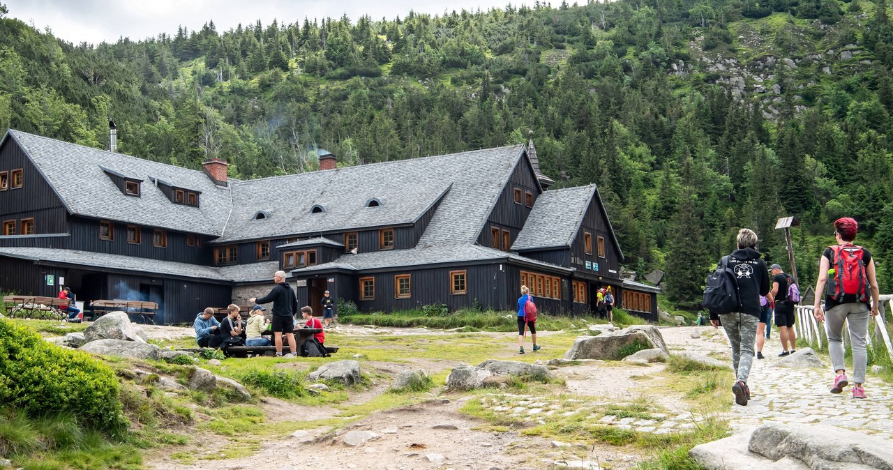 Gospodyni schroniska „Samotnia”: Nie spodziewałam się takiego wsparcia