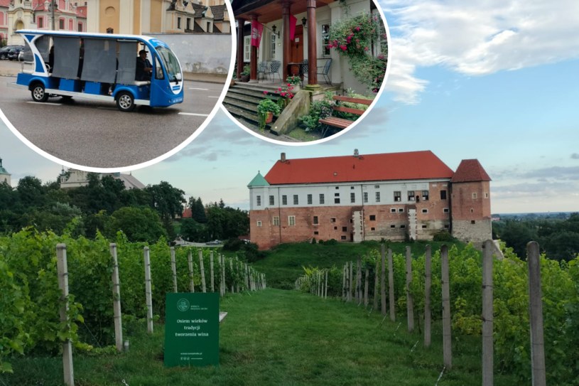 Polska na własne oczy: meleksem przez Sandomierz. Co skrywa miasto Ojca Mateusza?