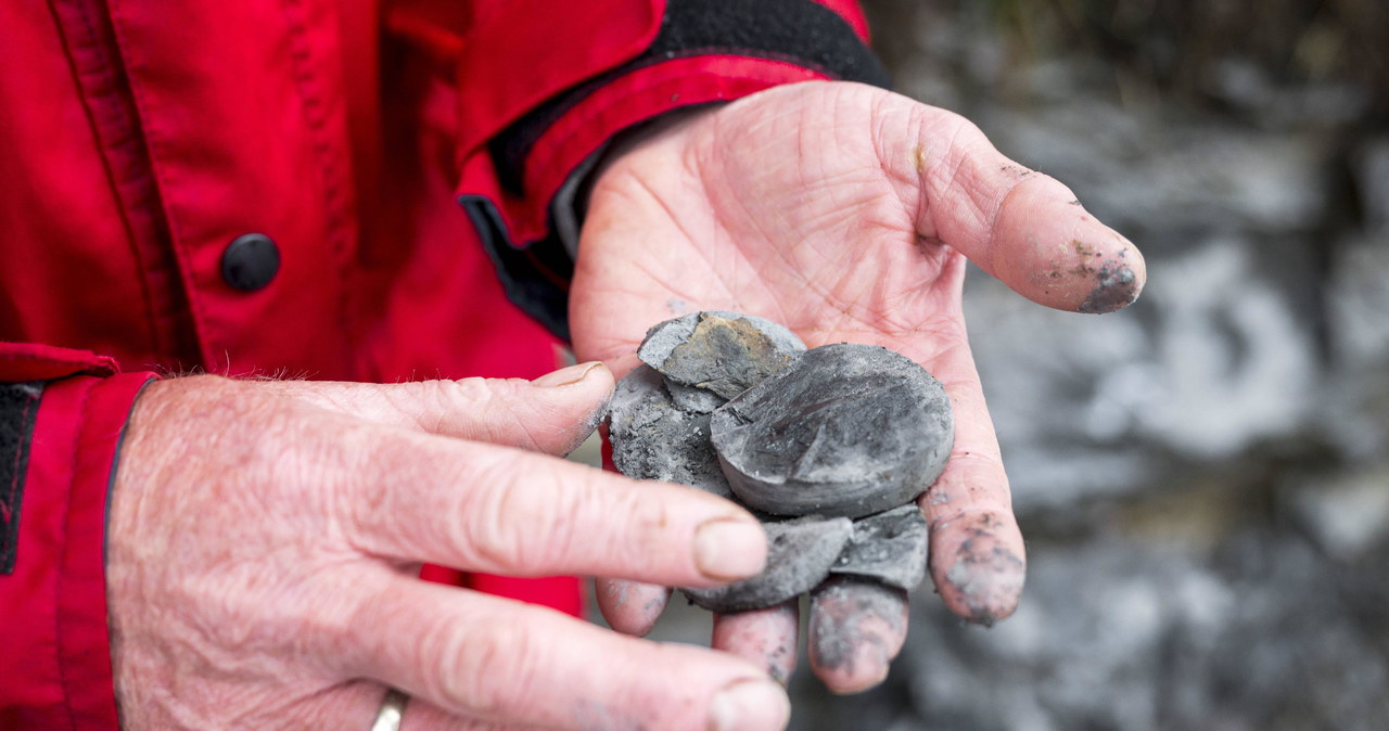 Sensacja w Niemczech: Ślady najstarszej na Ziemi masowej zagłady