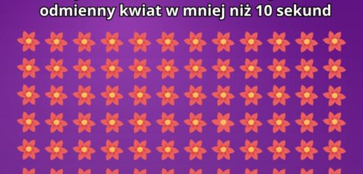 Trudna zagadka na spostrzegawczość. Na rozwiązanie masz mniej niż 10 sekund