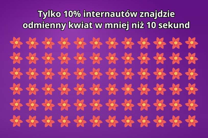 Trudna zagadka na spostrzegawczość. Na rozwiązanie masz mniej niż 10 sekund