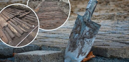 Niezwykłe odkrycie w polskiej wsi. Ma pół tysiąca lat. „Wiadomość archeologiczna roku”
