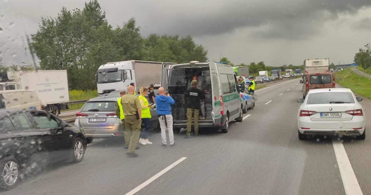 Akcja policji i straży granicznej na obwodnicy Krakowa. Zatrzymano 33 obcokrajowców