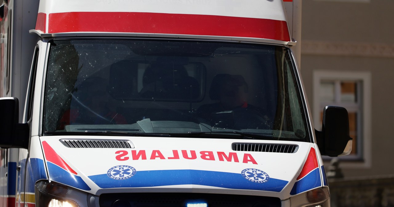 Nieszczęśliwy wypadek w Katowicach. Pies odgryzł chłopcu dwa palce