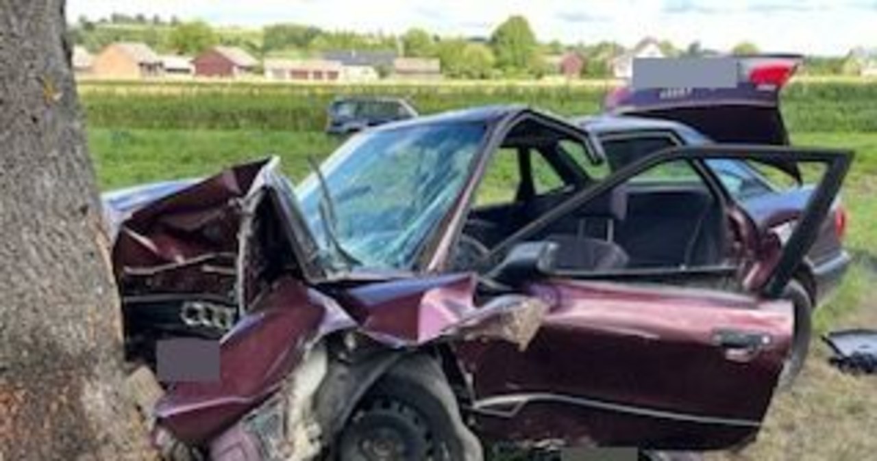 Audi uderzyło w drzewo. Kierowca zginął na miejscu