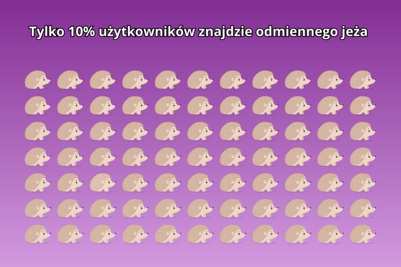 Tylko 10% osób potrafi znaleźć różnicę na obrazku. Zagadka dla bardzo spostrzegawczych osób