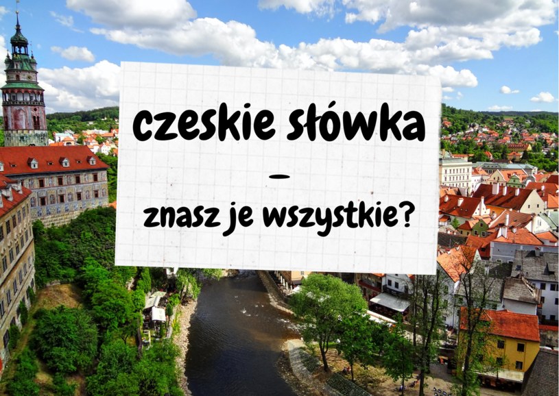 Wybierasz się do Czech? Warto znać te kilka słówek, żeby nie zginąć jak… ciotka w Czechach
