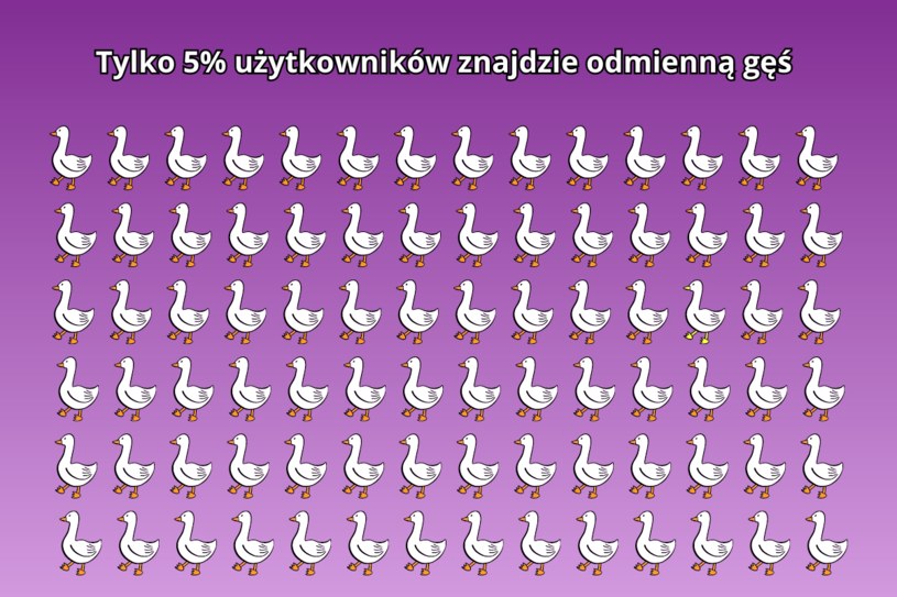 Zadanie na spostrzegawczość. 95 proc. użytkowników na nim poległo