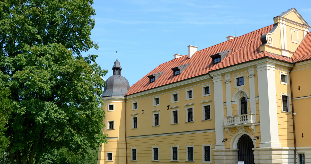 Rusza kolejny cykl bezpłatnych terapeutycznych sesji muzycznych „Natura online/offline”