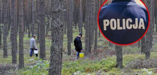 Grzybiarze znikają w lasach. To się dzieje co roku. Policja ostrzega
