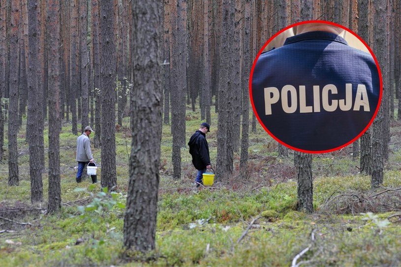 Grzybiarze znikają w lasach. To się dzieje co roku. Policja ostrzega