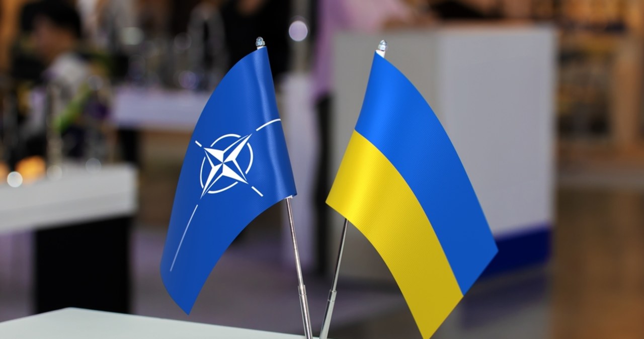 Podolak oburzony: Zamienić terytorium na parasol NATO?