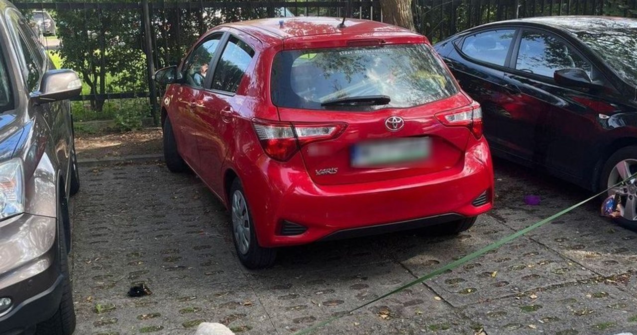 Zostawiła psa w nagrzanym aucie i poszła na plażę. Uratowali go policjanci