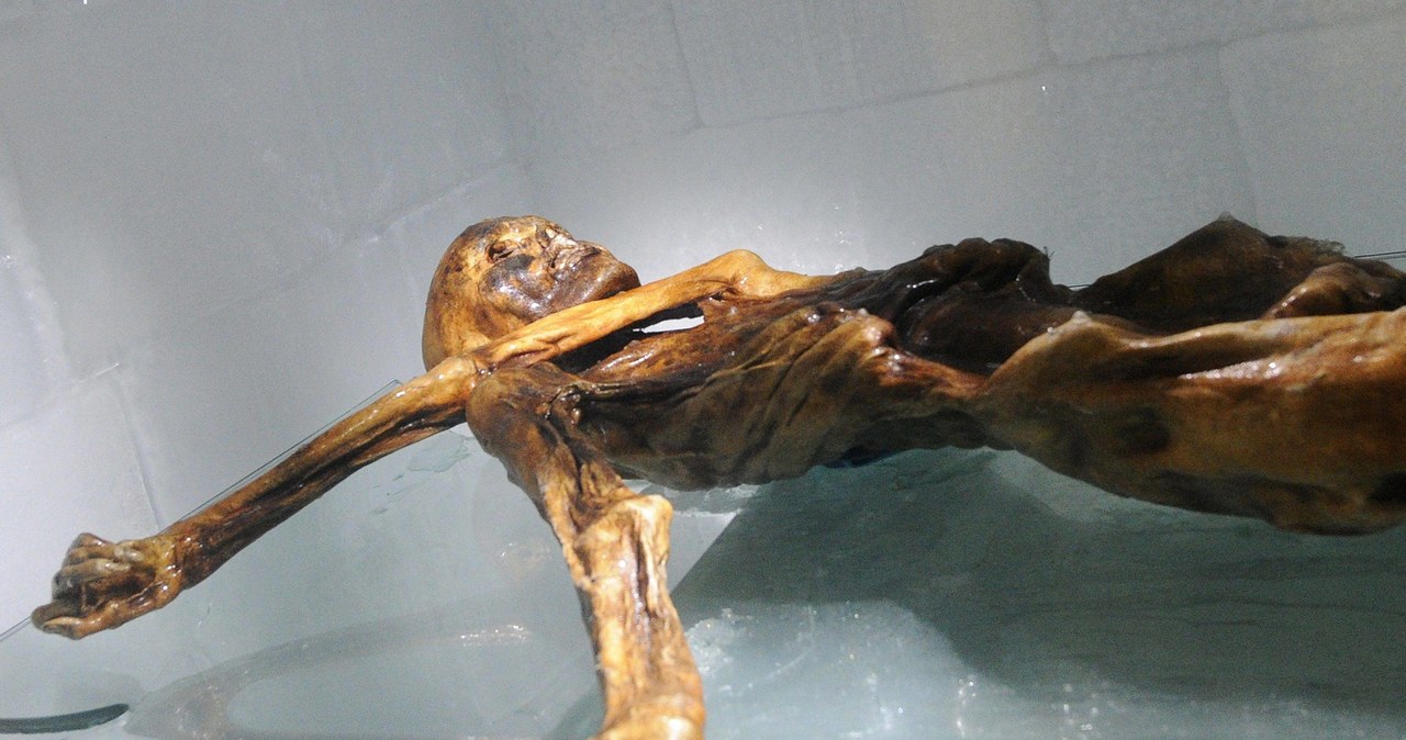 „Ötzi” był łysy, miał ciemną skórę i „tureckich” przodków