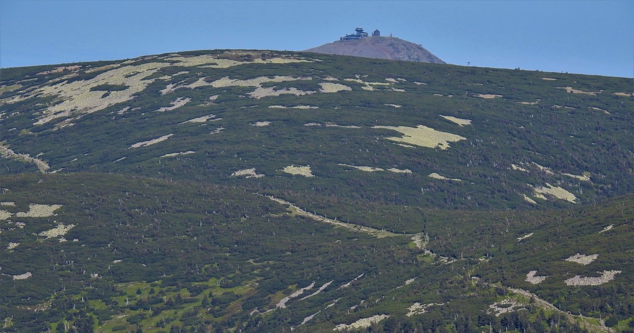 Karkonosze na bilbordach. Ruszyła kampania