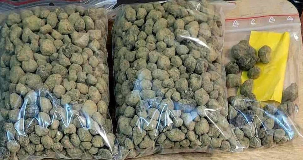 Marihuana ukryta w pudełku po butach, wiadrze i zegarze