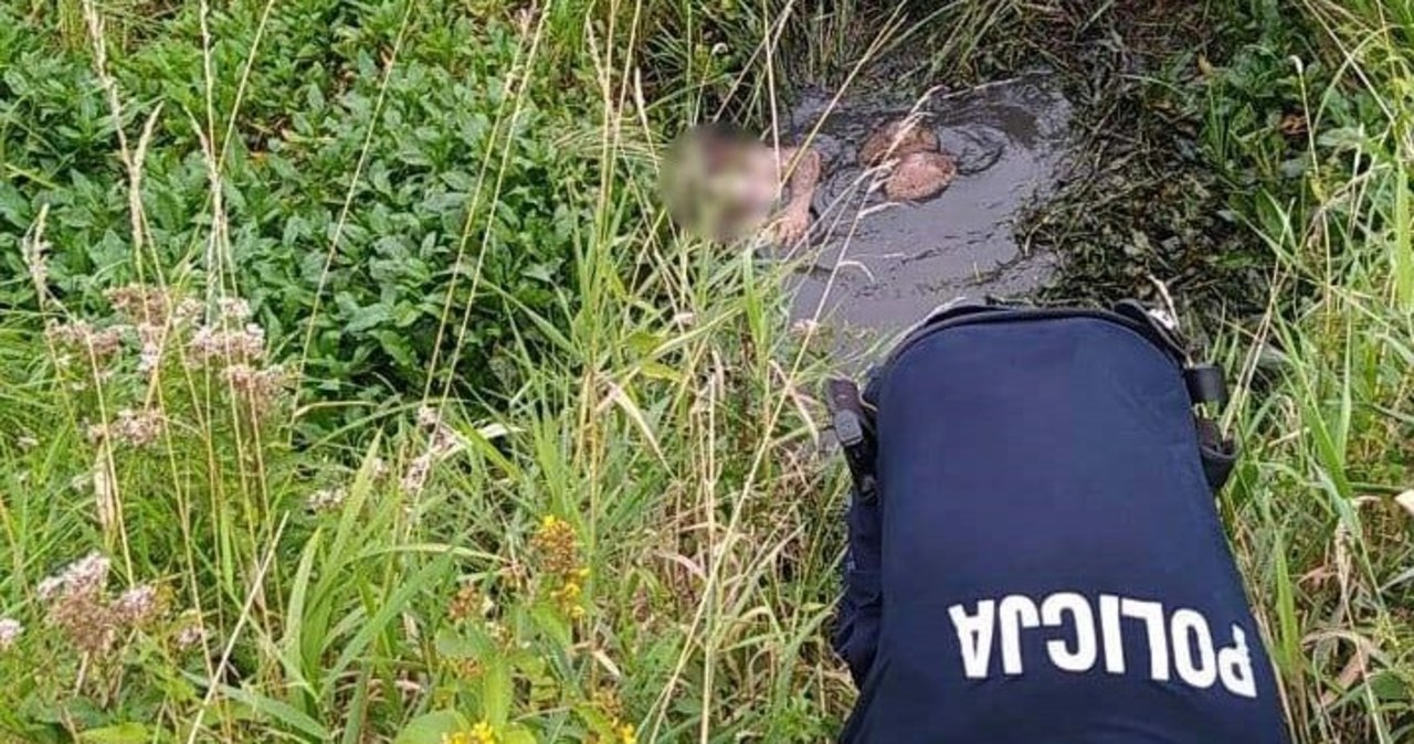 Uratowano 15-latka, który ugrzązł w głębokim rowie z błotem