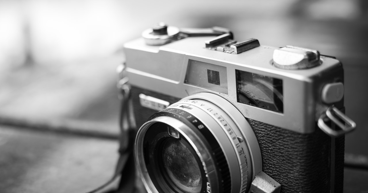 Z okazji Światowego Dnia Fotografii wystawa nad jeziorem Ukiel