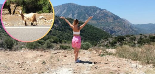 Kreta to nie tylko morze i plaże. Wyspa malowniczych gór i kóz Kri-Kri. Co warto zobaczyć w Grecji?