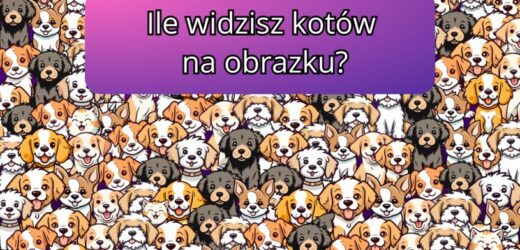 Zagadka dla spostrzegawczych. Ile znajdziesz kotów na obrazku? Tylko 1% użytkowników zna odpowiedź