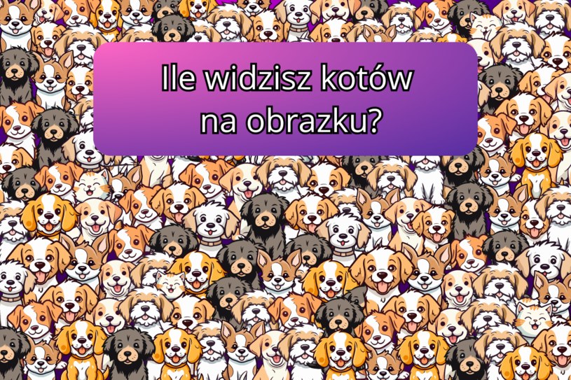 Zagadka dla spostrzegawczych. Ile znajdziesz kotów na obrazku? Tylko 1% użytkowników zna odpowiedź