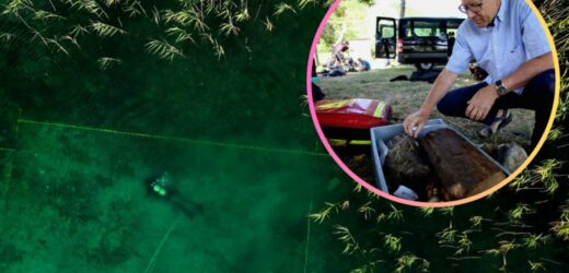 Odkryto najstarszą osadę w Europie, która znajduje się na dnie jeziora. Ma aż 8 tysięcy lat
