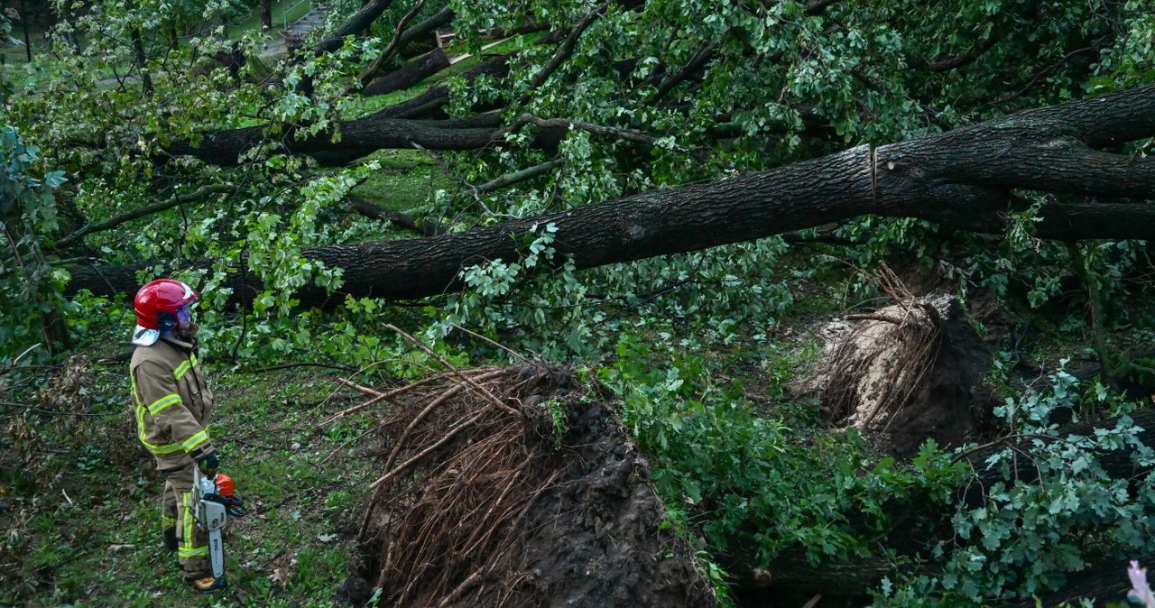 Intensywne burze nad Polską. Drzewo spadło na jacht z ludźmi