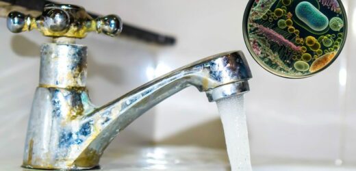 Nie tylko legionella. Jakie bakterie bytują w naszych kranach?