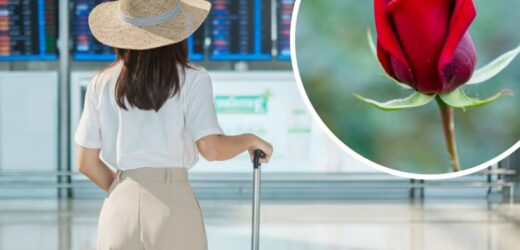 Weszła na lotnisko z różą w ręku. Dostała prawie 5 tys. zł grzywny