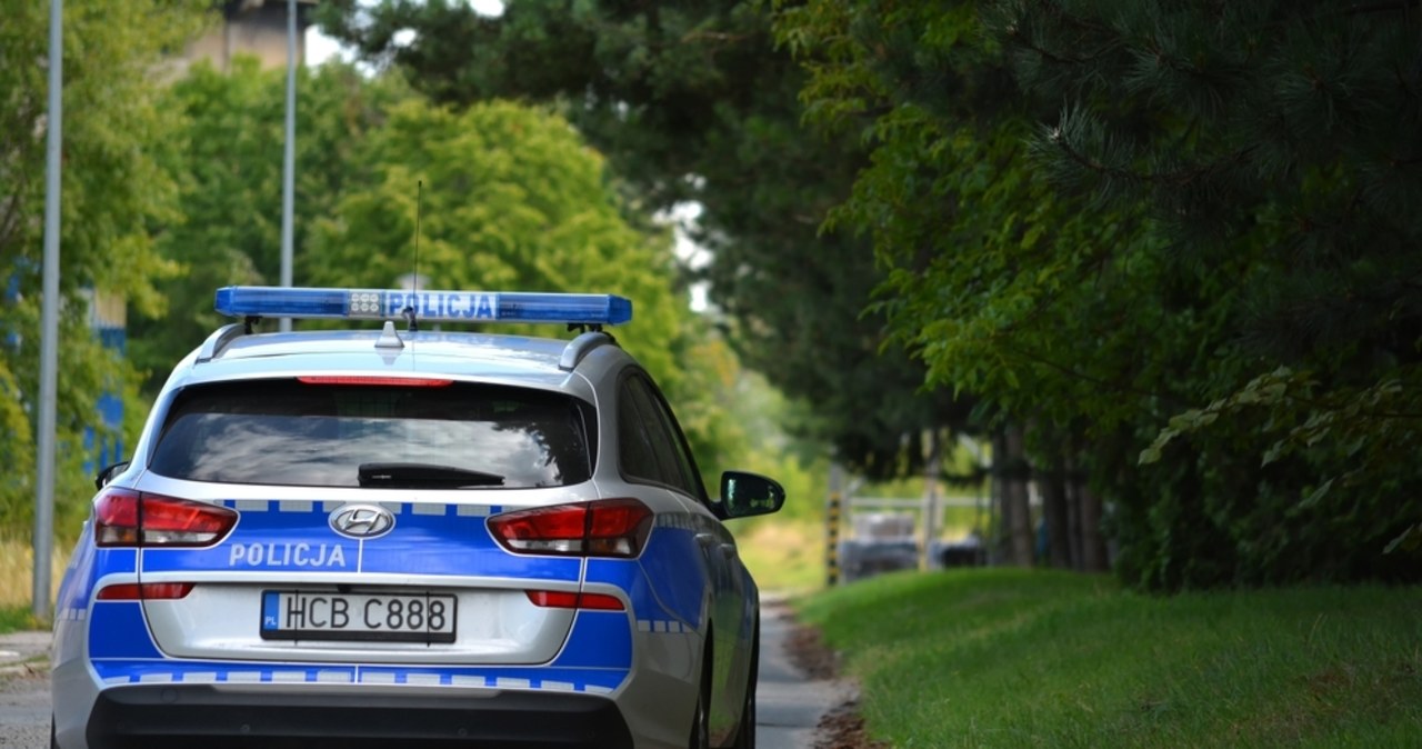 Kradzież auta o wartości 3000 zł. Zatrzymano 19-latka i jego ojca